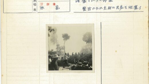 森林户外工作场景.jpg