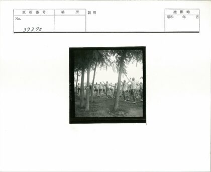森林户外活动人群.jpg