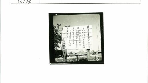森林木桩外语标志风景.jpg