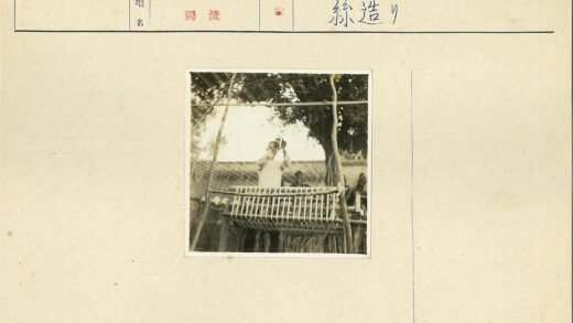森林木琴演奏者.jpg