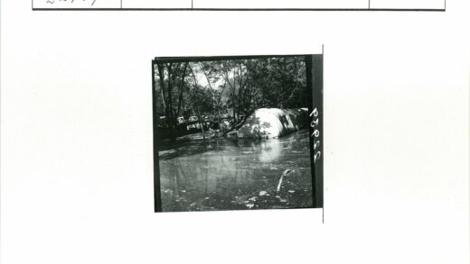 森林水影圆形建筑.jpg