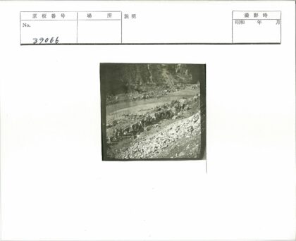 森林河岸人与动物聚集.jpg