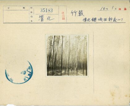 森林泥泞小路.jpg