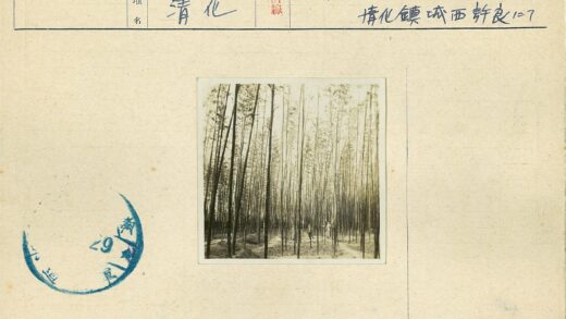 森林泥泞小路.jpg