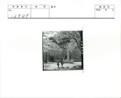 森林石柱与古建筑探秘.jpg