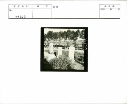 森林石碑古迹景观.jpg