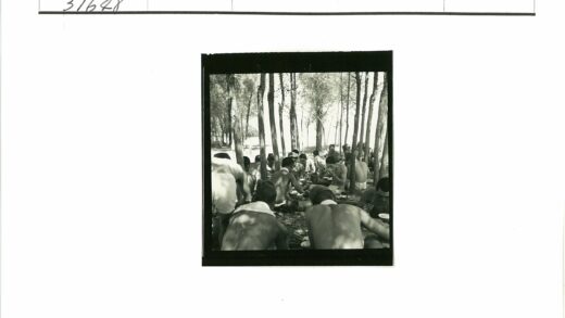 森林野餐阳光树影.jpg