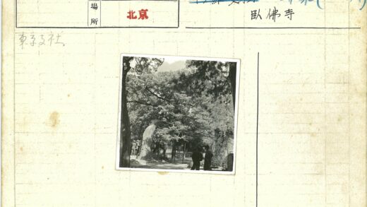 森林阳光斑驳巨石聚会.jpg
