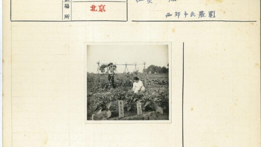植物花园与远树风景.jpg