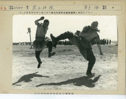 武术家激战场边观众围观.jpg