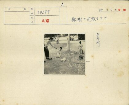 母子与狗在绿树街道.jpg