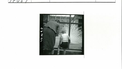 母子观孔雀.jpg