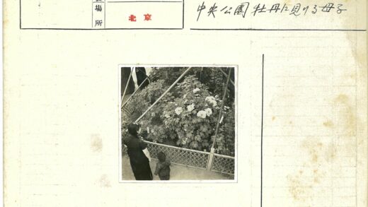 母子赏花篱笆园.jpg