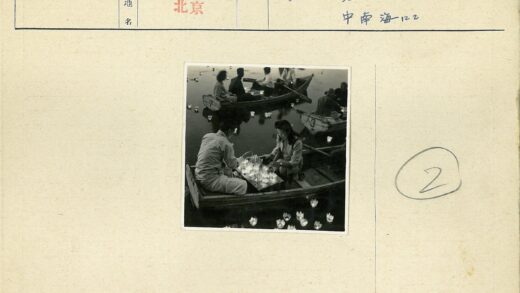 水上漂浮花形灯笼夜景.jpg