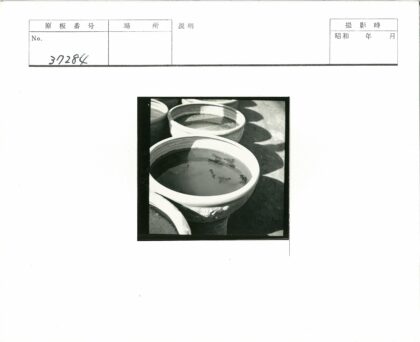 水中鱼影陶瓷碗.jpg