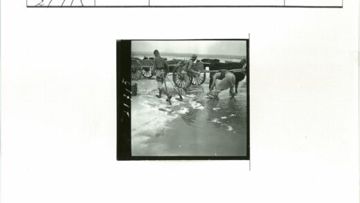 水乡农耕劳作场景.jpg