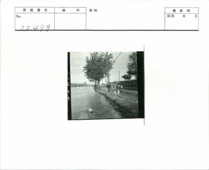 水岸林荫道与古建筑.jpg