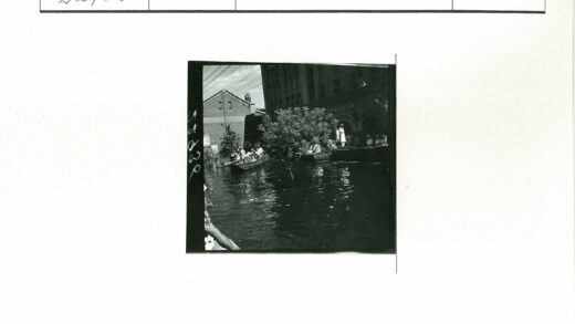 水淹街道小船与树.jpg