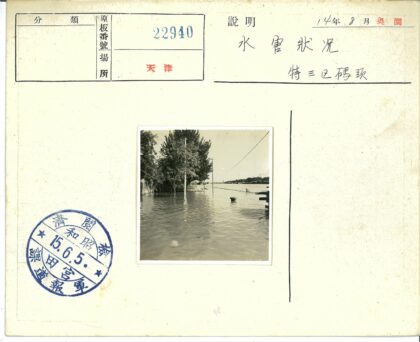 水灾淹没树木电线杆码头.jpg