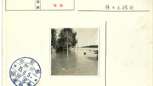 水灾淹没树木电线杆码头.jpg