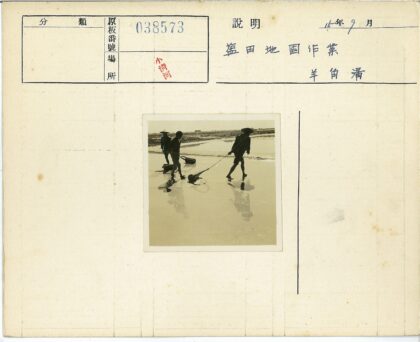 水田劳作倒影天空.jpg