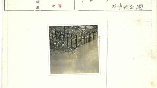 水边树枝与栅栏倒影.jpg