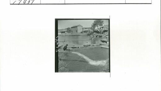 水道旁编织篮与砖建筑景观.jpg