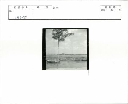 水道边树影与远楼.jpg