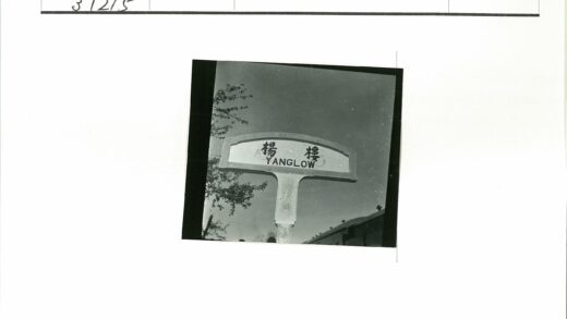 汉字与yanglow路标晴空树枝背景.jpg