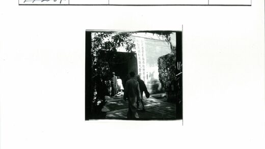 汉字建筑入口绿荫人行道.jpg