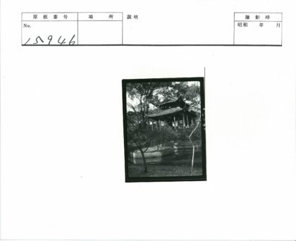 池塘畔古树环绕传统建筑.jpg