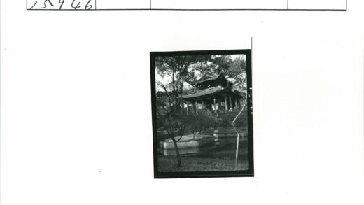 池塘畔古树环绕传统建筑.jpg