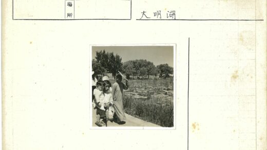 池塘睡莲小路晴空树影.jpg