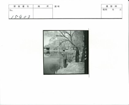 池塘边三人钓鱼观景.jpg