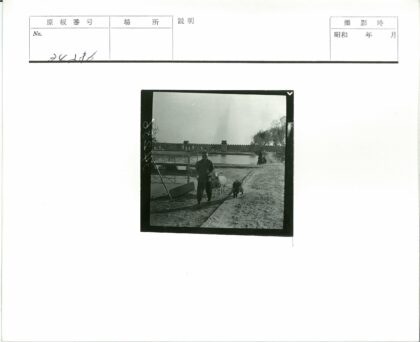 池塘边人与山羊的乡村风景.jpg