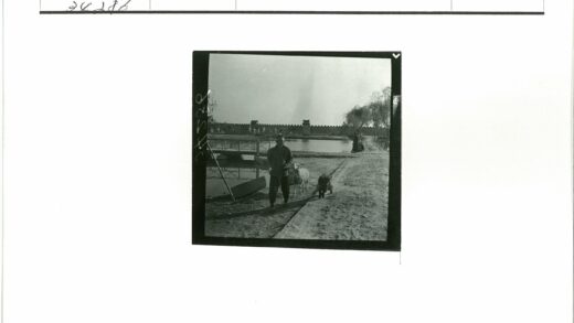 池塘边人与山羊的乡村风景.jpg