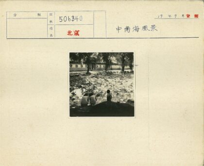 池塘边孩童与睡莲.jpg