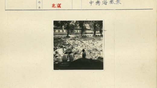 池塘边孩童与睡莲.jpg