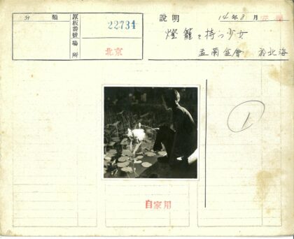池塘边灯笼照睡莲.jpg