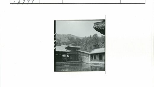 池塘边瓦顶建筑自然风光.jpg