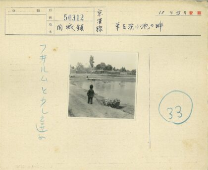 池塘边的孩子与远处羊群.jpg