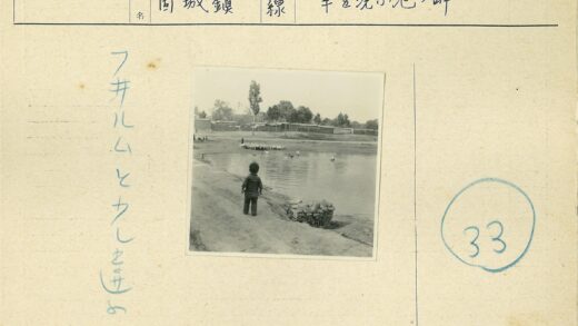 池塘边的孩子与远处羊群.jpg