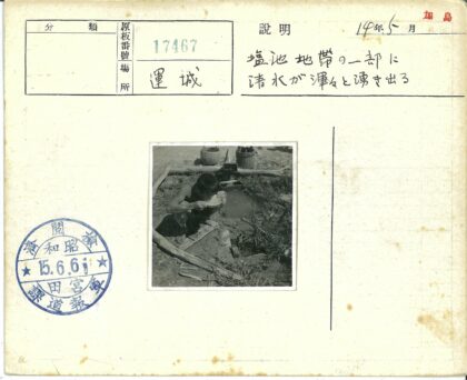 池塘边饮水场景.jpg