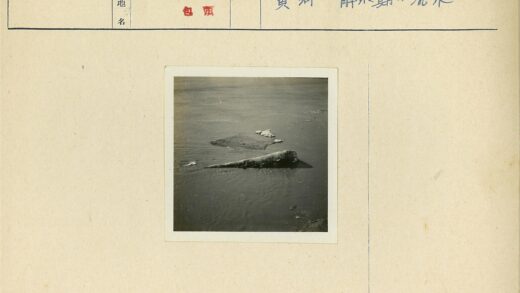 沉船残骸与水面碎片.jpg