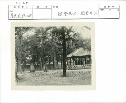 沙地传统凉亭与树林景观.jpg