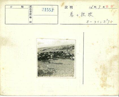 沙地平原上的牛马群与岩石山.jpg