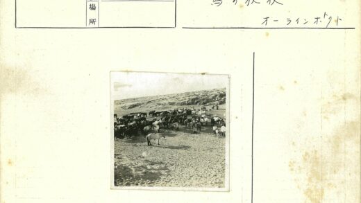 沙地平原上的牛马群与岩石山.jpg
