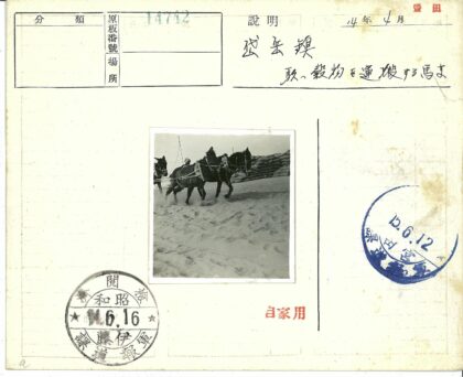 沙地马车运输袋装货物.jpg