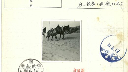 沙地马车运输袋装货物.jpg