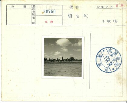 沙地骑马多云天空远树.jpg